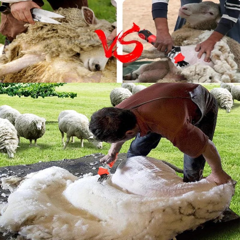 Tondeuse-électrique